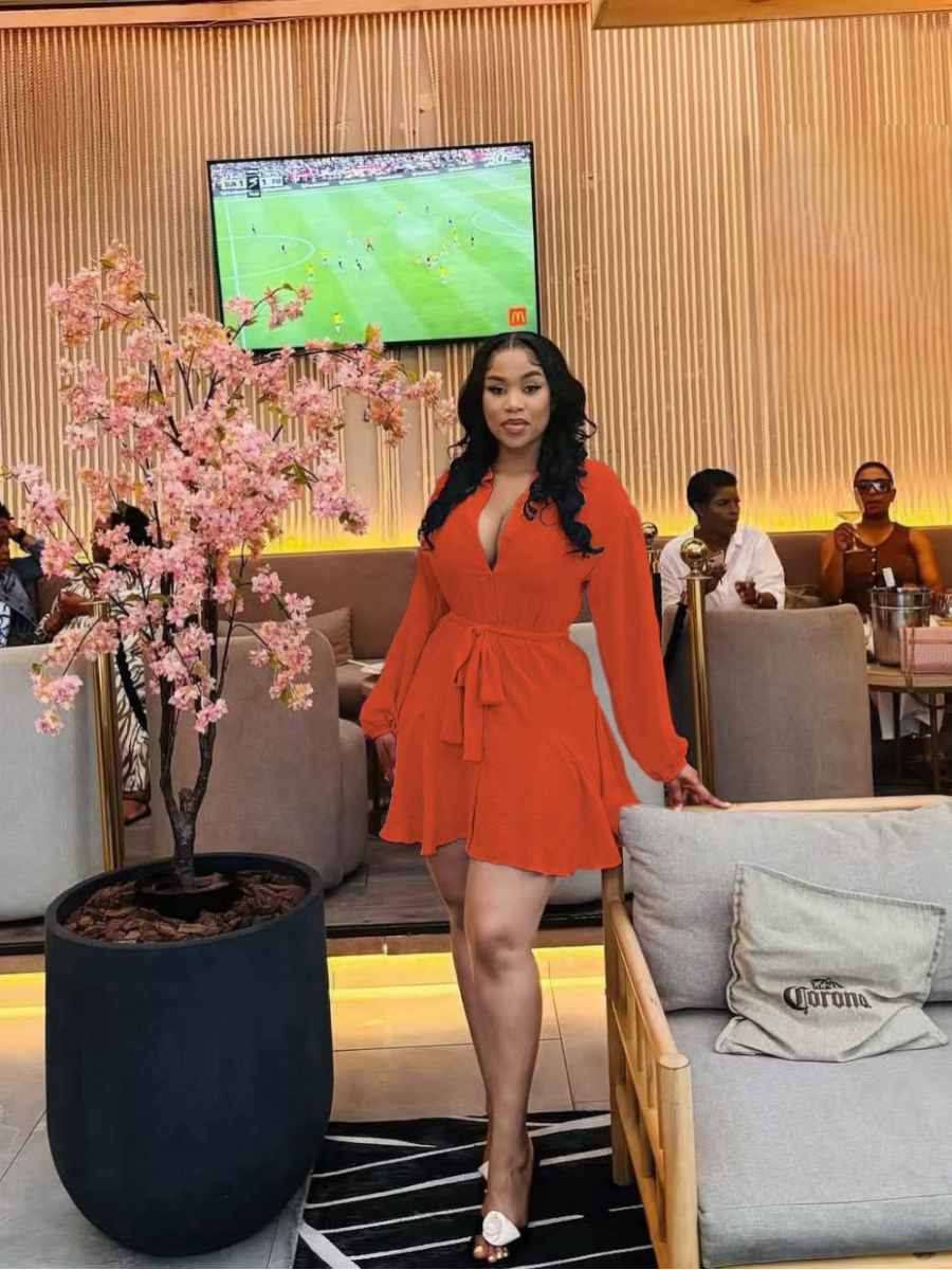Long Sleeve Wrap Mini Dress