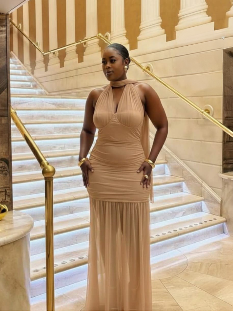 Halter Neck Mesh Maxi Dress