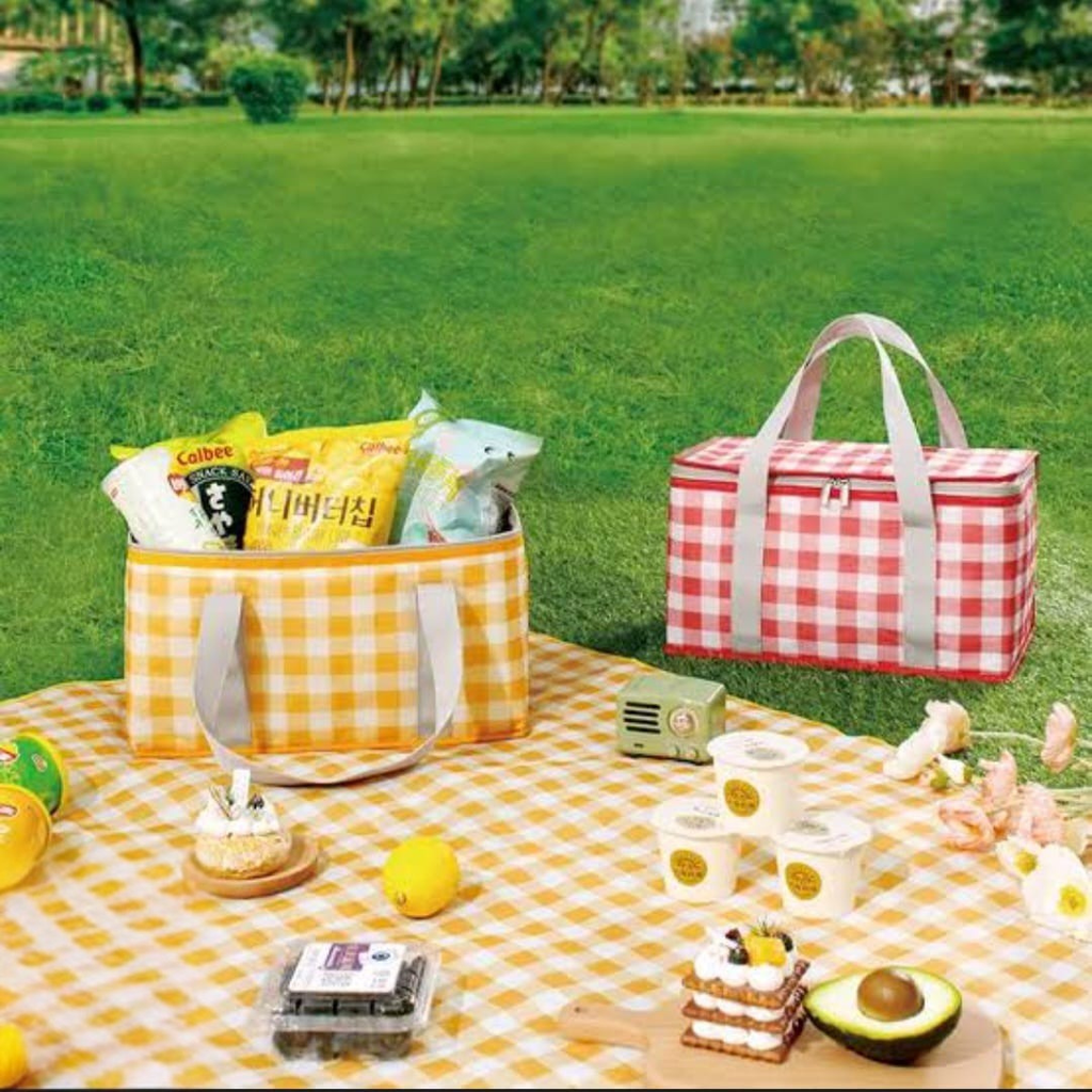 Insulated Picnic Cooler Bag
