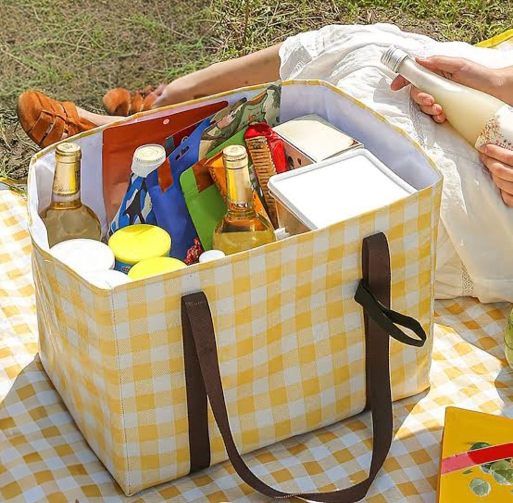Insulated Picnic Cooler Bag