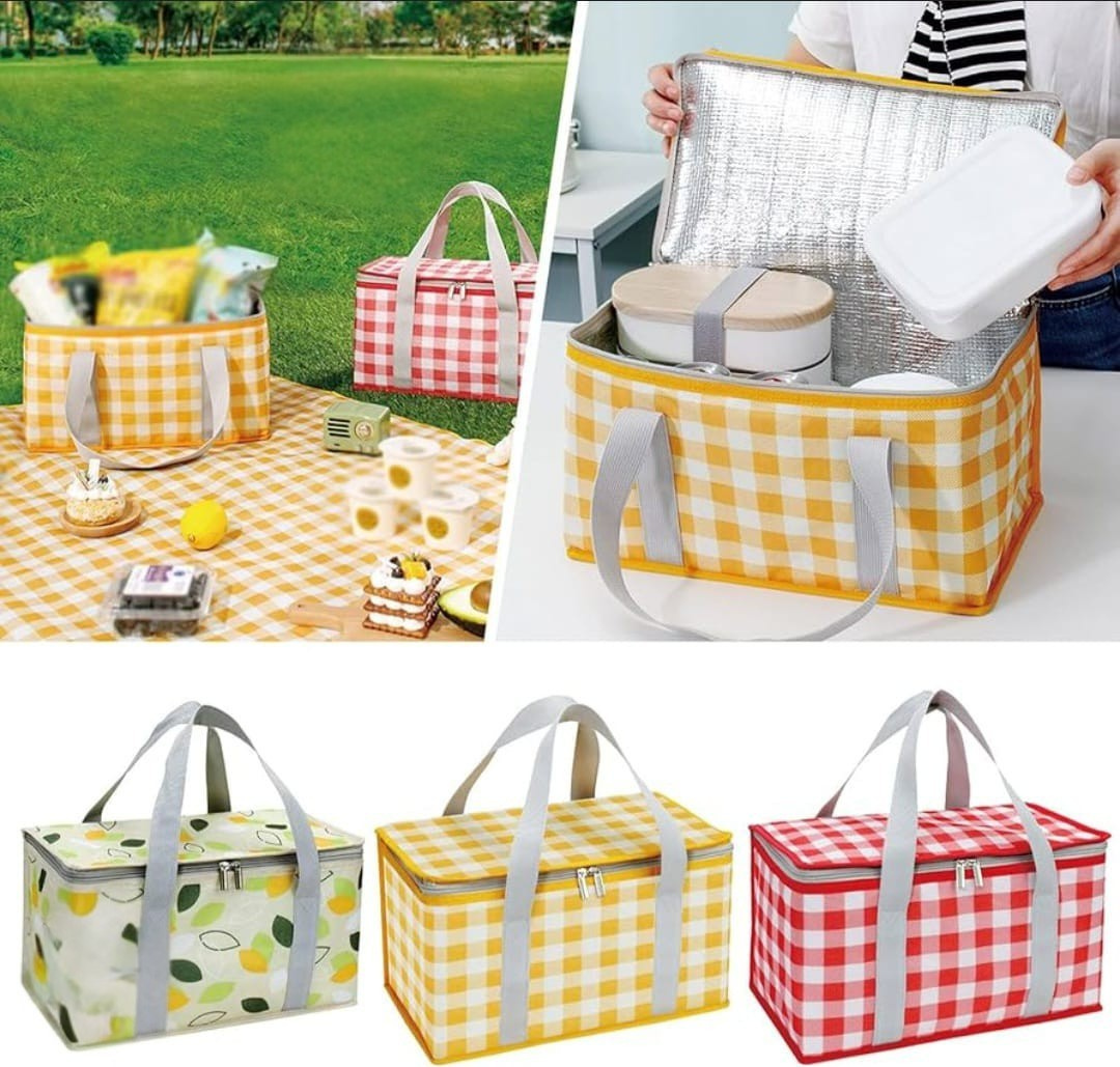 Insulated Picnic Cooler Bag