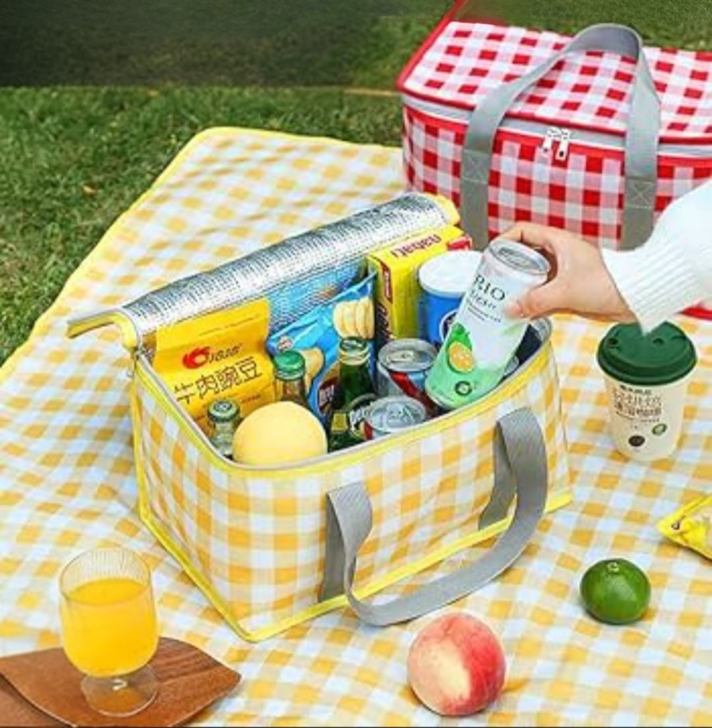 Insulated Picnic Cooler Bag